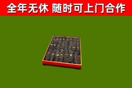 定西回收海参